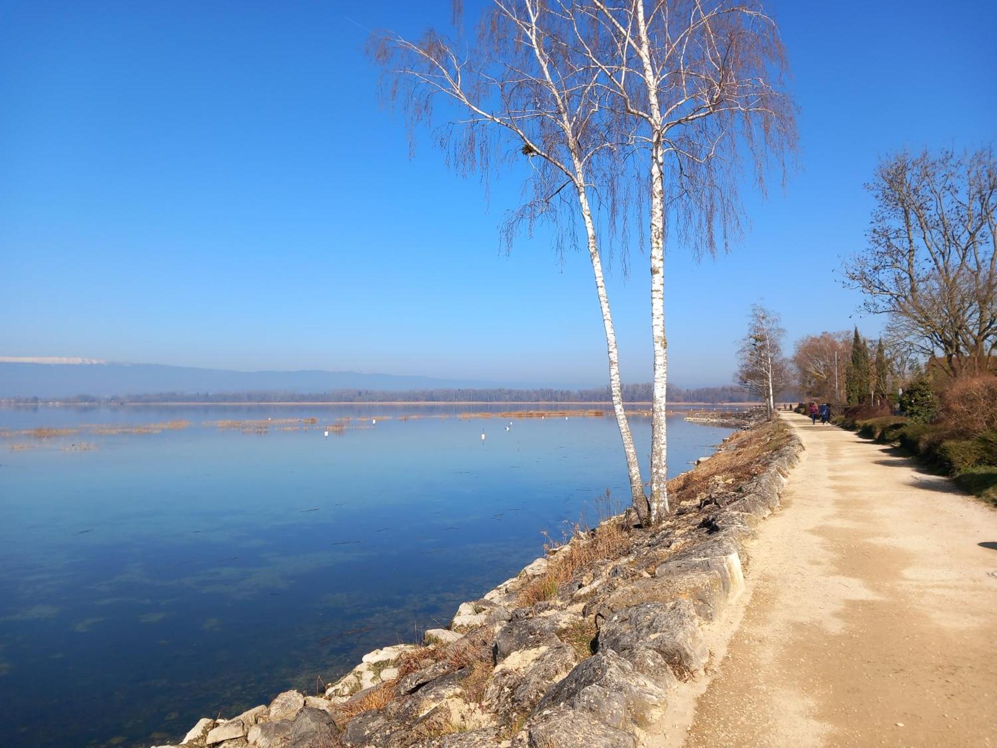 Gemuetliches Zimmer In Muntelier Nahe Am See Appartement Buitenkant foto